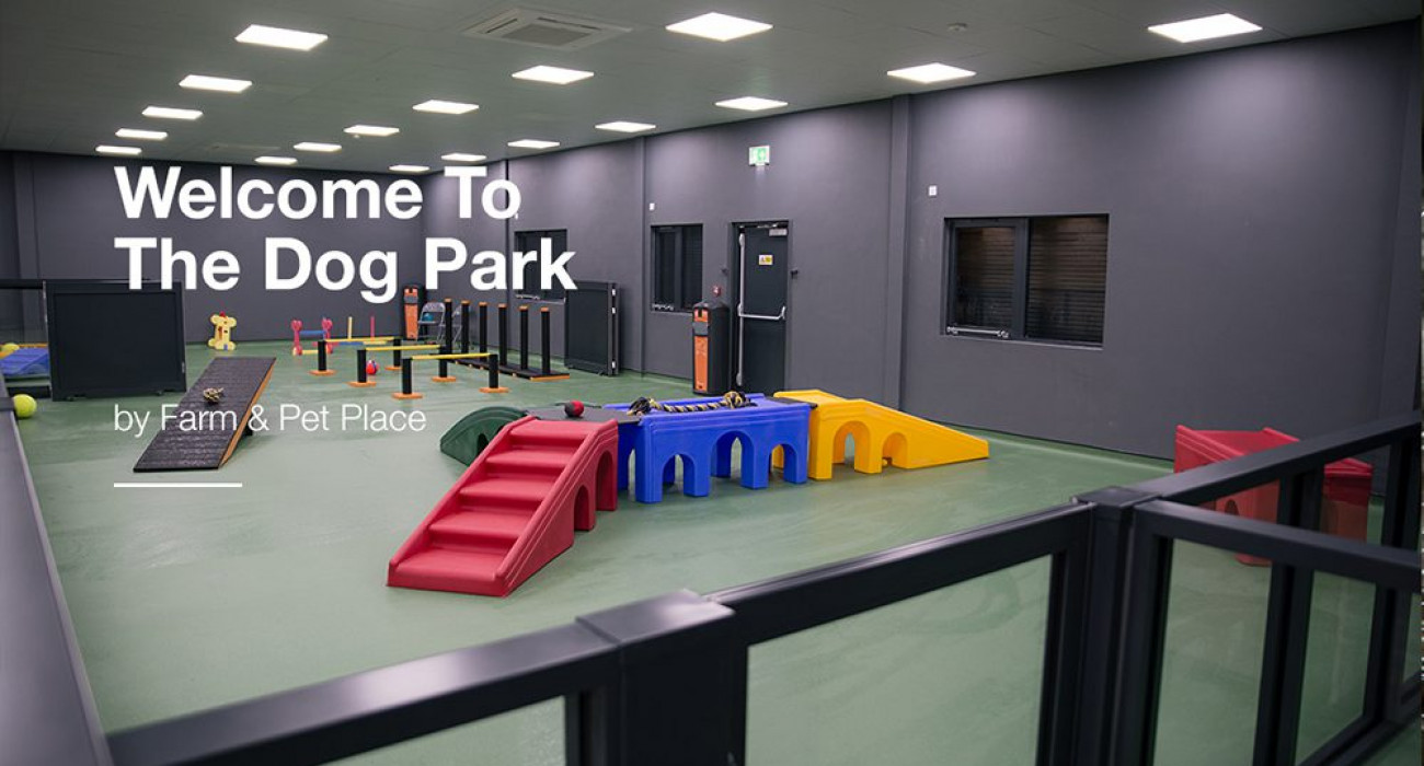Dog-Park